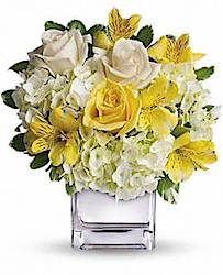 10884848_350936148446264_313106142_n