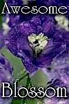 awesome-blossom