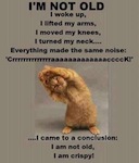 wpid-954882_168428123324725_1886192229_n