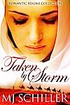 taken-by-storm