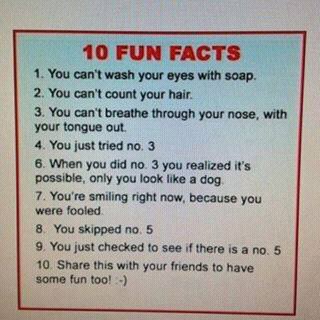 10310536_10152207064048661_6510579087364826067_n.jpg image