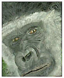 Here's looking at you kid!