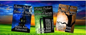 Chase Tinker Series Banner