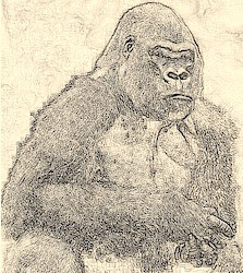 the-storyteller-logo