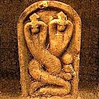 483887_315950045174954_232943845_n