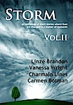Storm v2