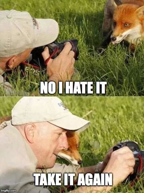 IMG_67701673904983.jpeg image