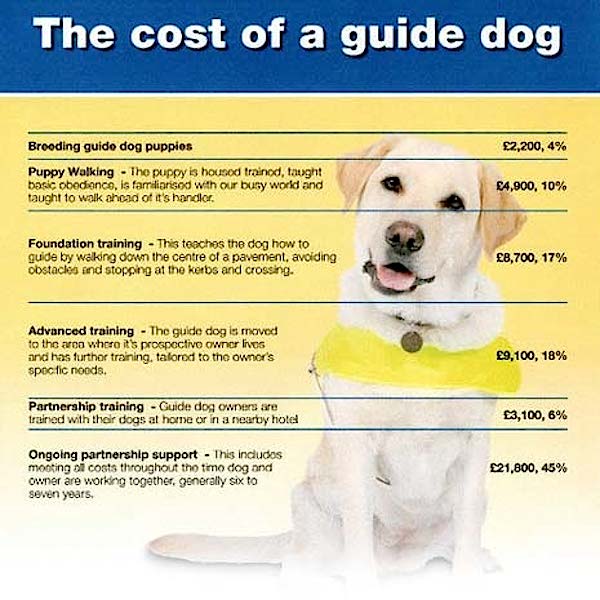 cost_of_guide_dog
