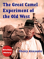 GreatCamelExperimentCover-web (4)