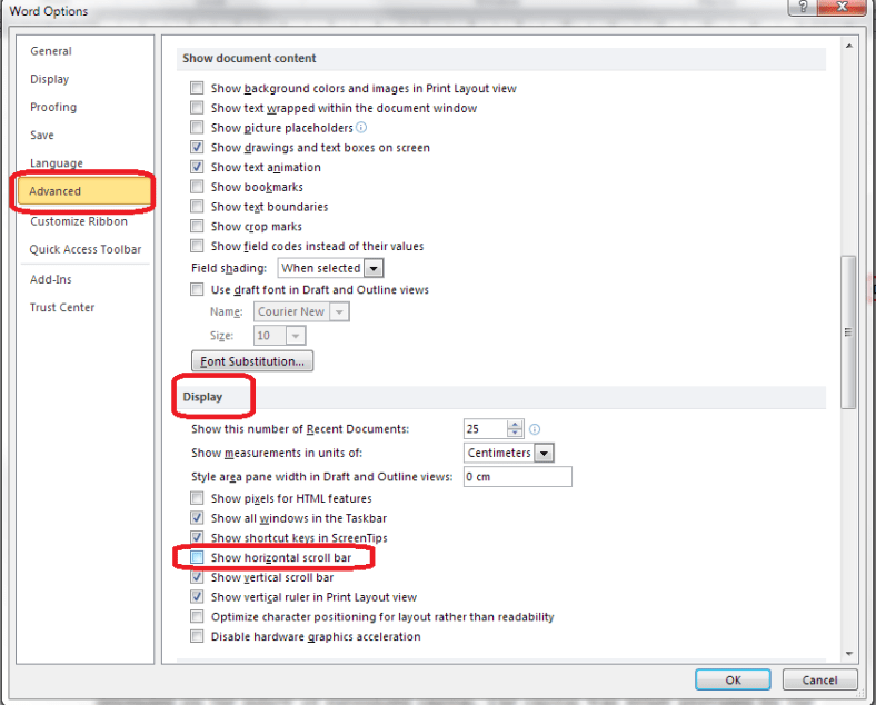 Word Options - advanced - display