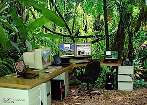 office-jungle