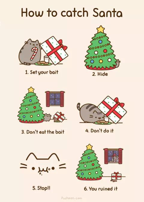 IMG_169387001860698.jpeg image