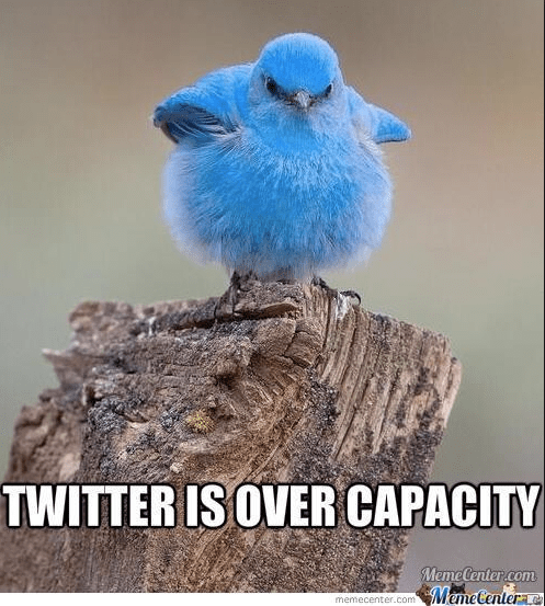 Screen Shot 2014-11-25 at 11.42.36 AM