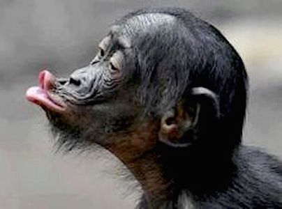 0c7c45e8846f7d4a24c56a682aaacdfc