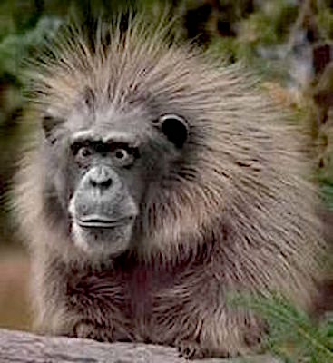 1d9e47531ed138fa221b0d820eeeb4e4