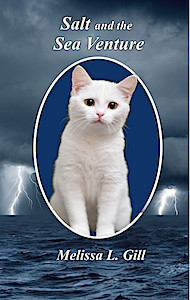 Salt and the Sea Venture - Melissa L. Gill