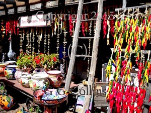 Watermark Rainbow Man Courtyard
