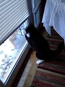 what you doing out in this weather