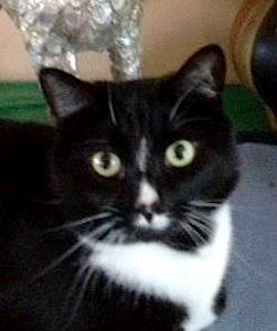 Profile Pic_My Name Is Zoe