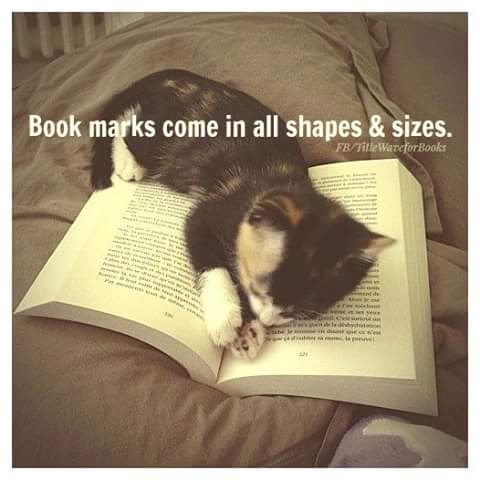 wp-1445349697704 image