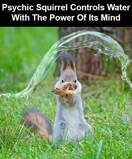 wp-1446850659040 image