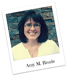 Amy M. Reade 2