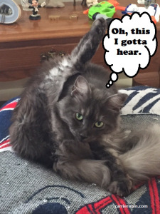 My mom's cat, Diva. She loves...er...tolerates me.