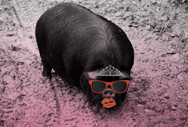 Screen Shot 2016-01-14 at 11.30.47 AM