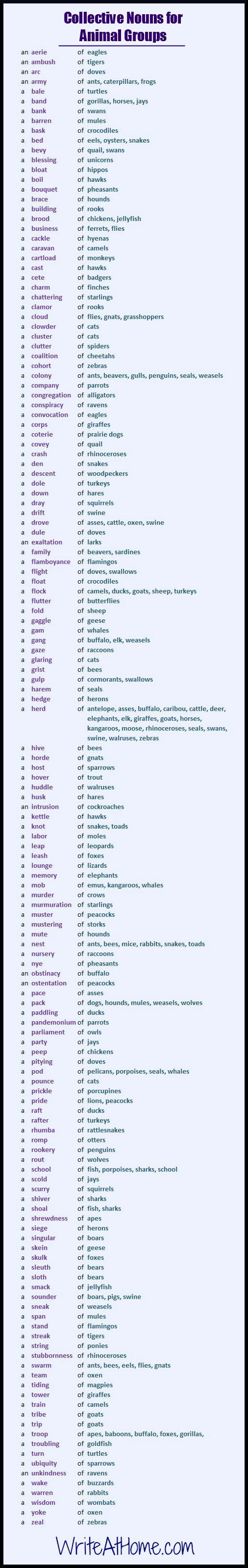 2b419f755fec12011a999f488cac77ed