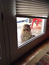 Shades of Gray_Mr Gray 2