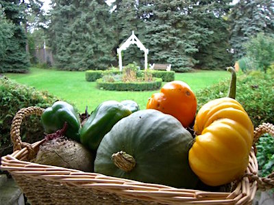 Blog Photo - Garden harvest Basket tomatoes pumpkin