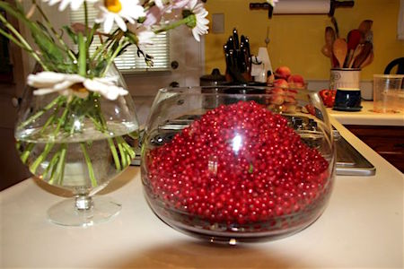 Blog Photo - Jelly Currants in Glass Bowl