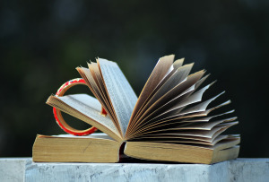 open-book-851401_1280