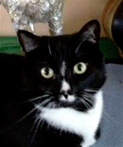 Profile Pic_My Name Is Zoe