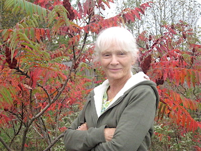 With sumac one of my favourite foliages in the Ontario fall