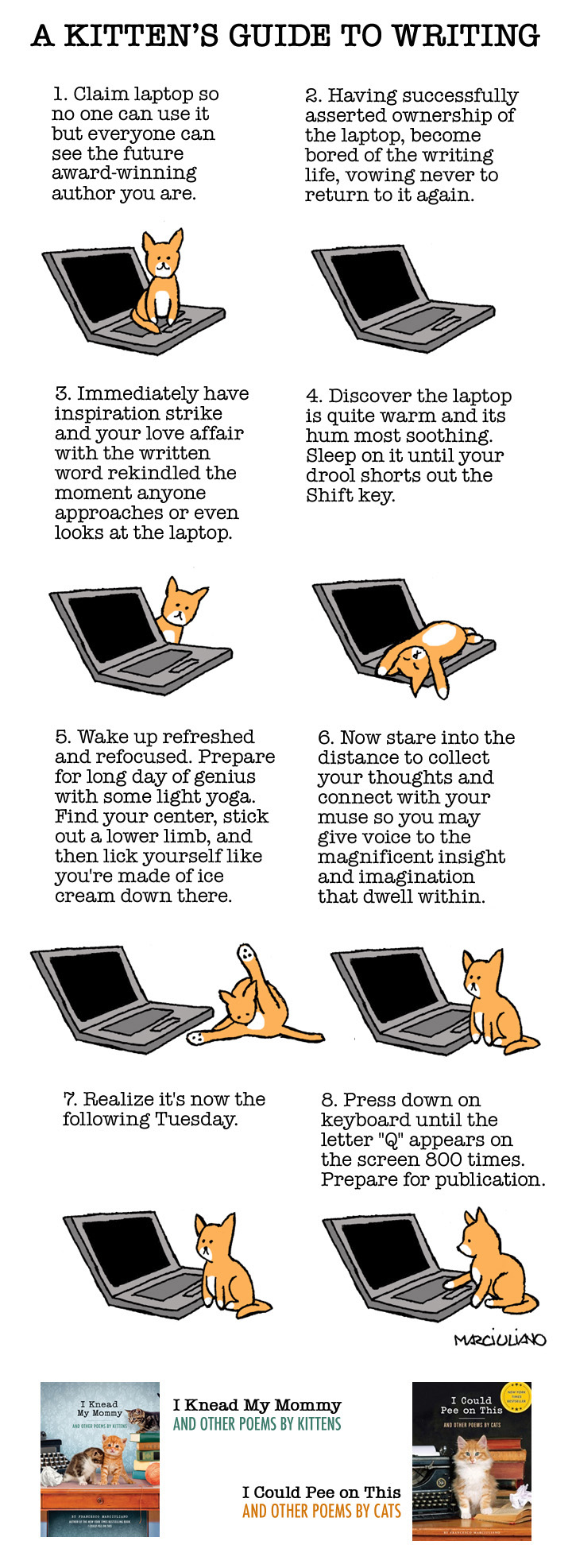 Kitten Writer Guide