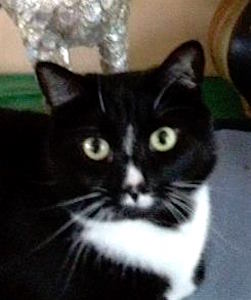 Profile Pic_My Name Is Zoe