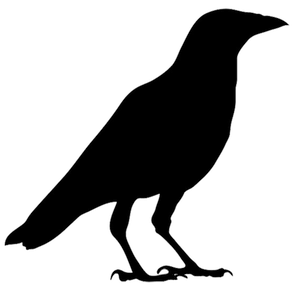 bird-silhouette-png-silhouette-of-robin-png-pigeon-silhouette-png-crow-a4rhb9-clipart