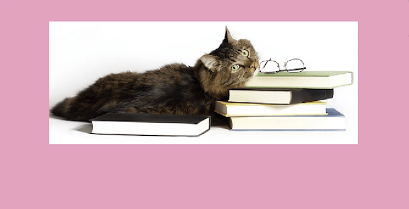 business-card-back-2015-1