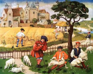 Sheep shearing and reaping 15th C