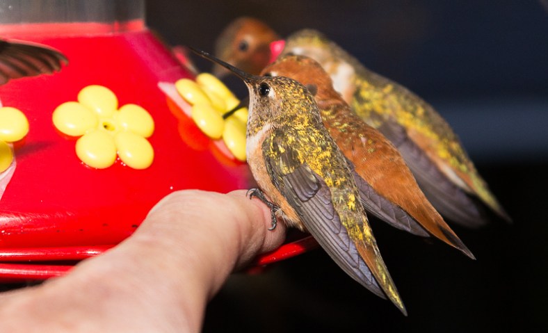 20140422-20140422-IMG_1320-2