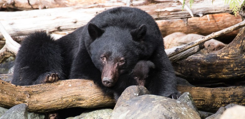 20170422-20170421-IMG_1946-3