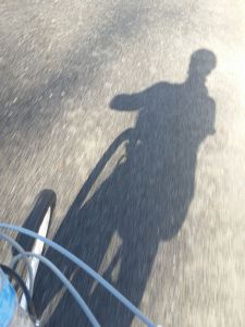 Terri Webster Schrandt