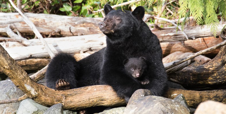 20170422-20170421-IMG_1930-4