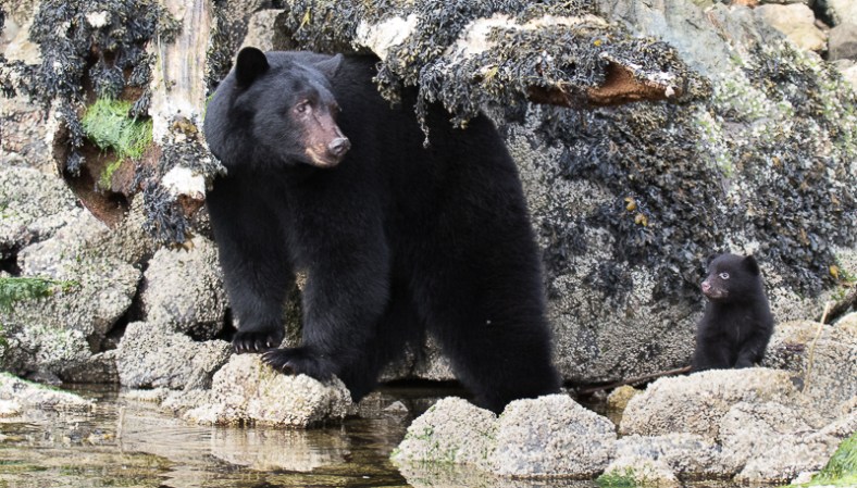 20170422-20170421-IMG_1998-3