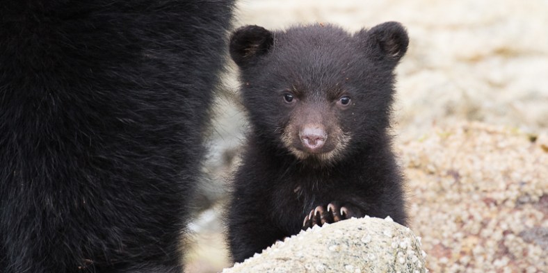 20170507-20170506-IMG_3019-2