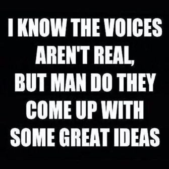 d843805eede6d7643cb4e63abccb92f6--funny-writing-quotes-funny-sayings