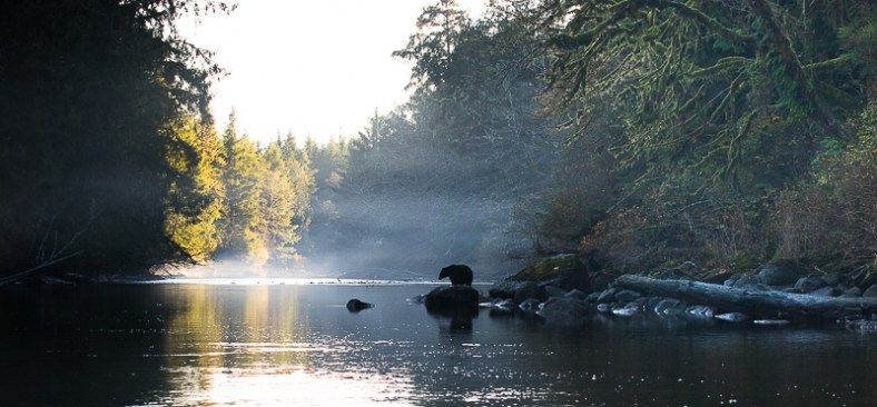 20180829-20171028-IMG_2449