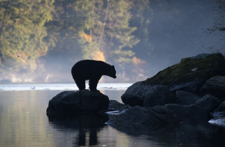 20180829-20171028-IMG_2452