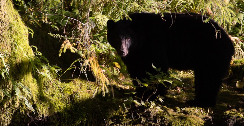 20180905-20171013-IMG_1998